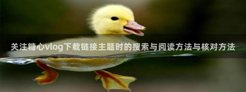 糖心vlog网址:关注糖心vlog下载链接主题时的搜索与阅读方法与核对方法